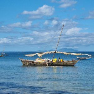 457702535 843805747897996 6981004263349277870 n