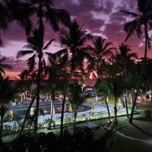 457712700 531205999297608 1196430538145984772 n