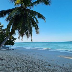 458150431 2491470377907846 4190434453037557894 n