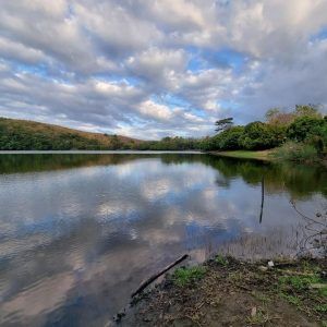 458415695 2461892100676365 3978085818414417090 n