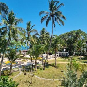 459109290 1057197952651022 3427946261715616287 n