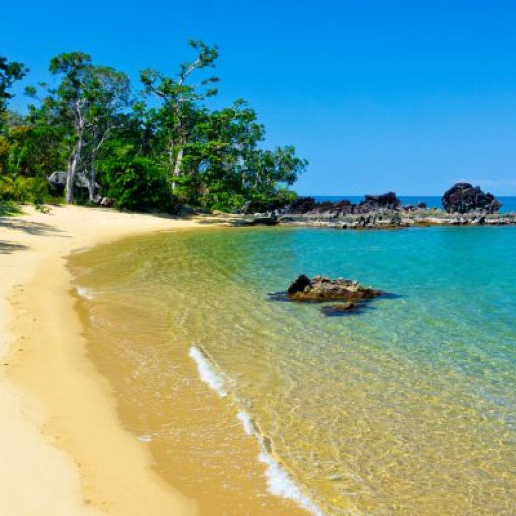 Madagascar: Il continente rosso